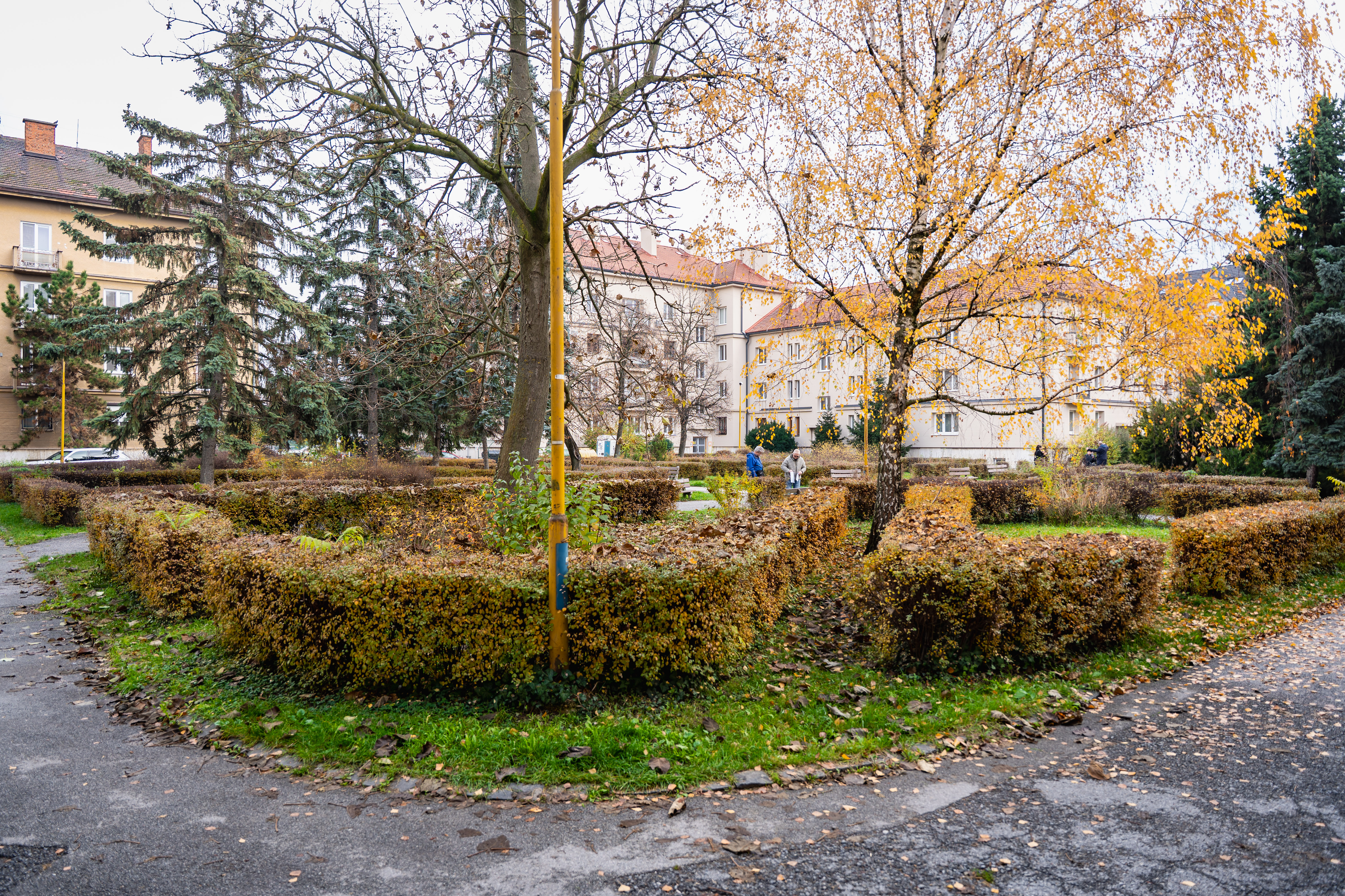 Odovzdanie staveniska - Pasteurovo nam.-27